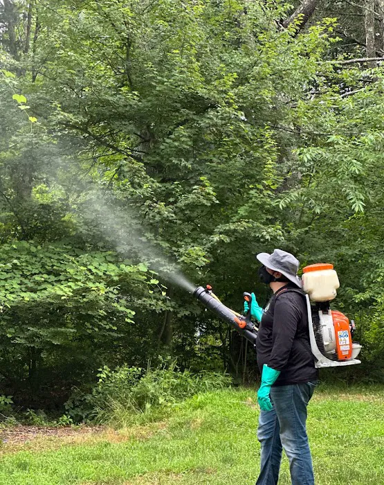 Mosquito Joe of Hingham-Easton Picture 5