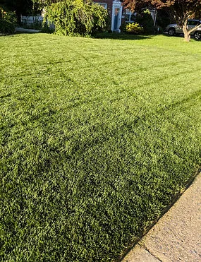 Delaware Valley Turf Picture 1