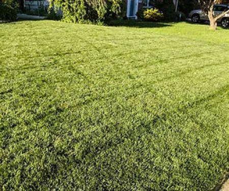 Delaware Valley Turf
