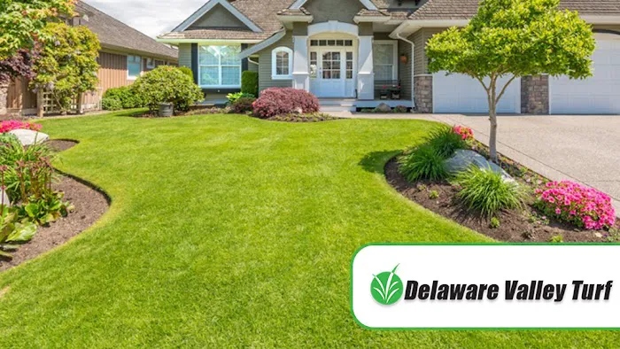 Delaware Valley Turf Picture 2