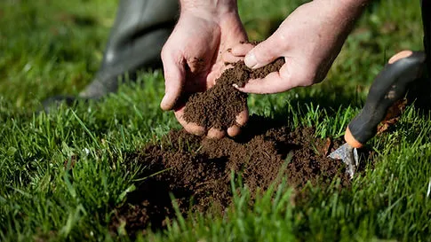 Delaware Valley Turf Picture 7