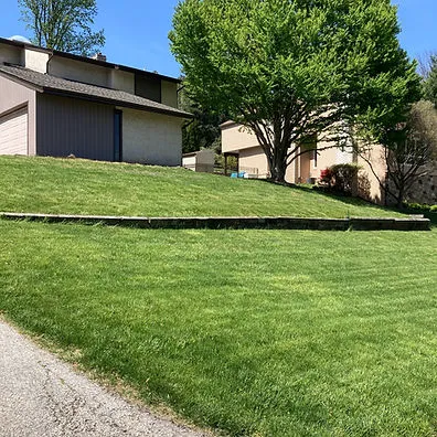 Delaware Valley Turf Picture 8