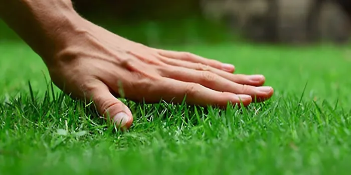 Cedarcrest Fertilizing Picture 7