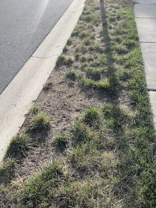 Lawn Doctor of Newark / Cecil County Picture 4