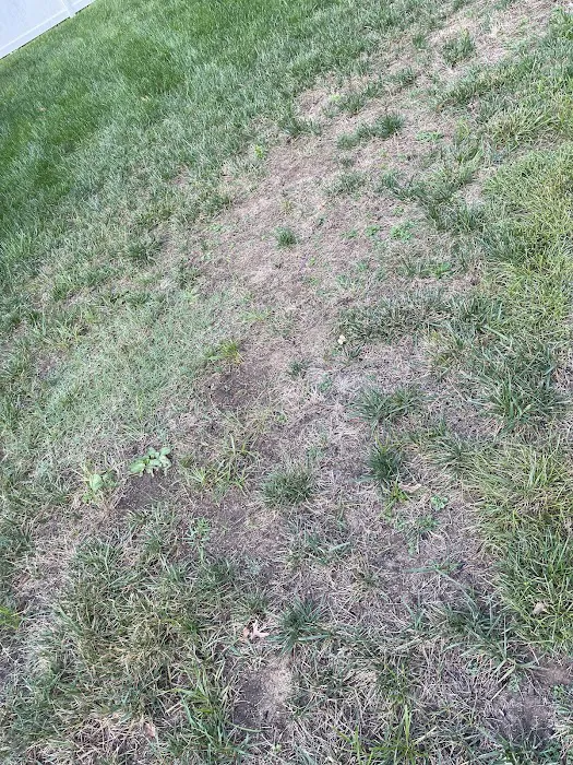 Lawn Doctor of Newark / Cecil County Picture 9