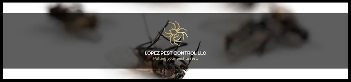 Lopez Pest Control Picture 3