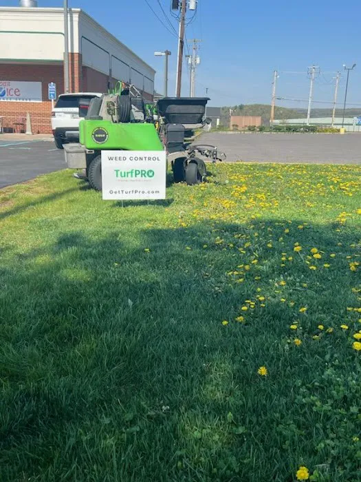 Turf Pro Fertilization and Weed Control LLC Picture 7