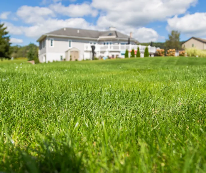Turf Pro Fertilization and Weed Control LLC Picture 9