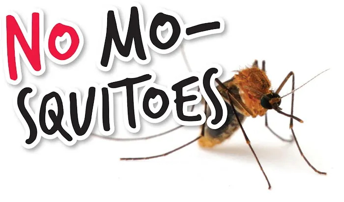 Activ Pest Solutions Picture 1