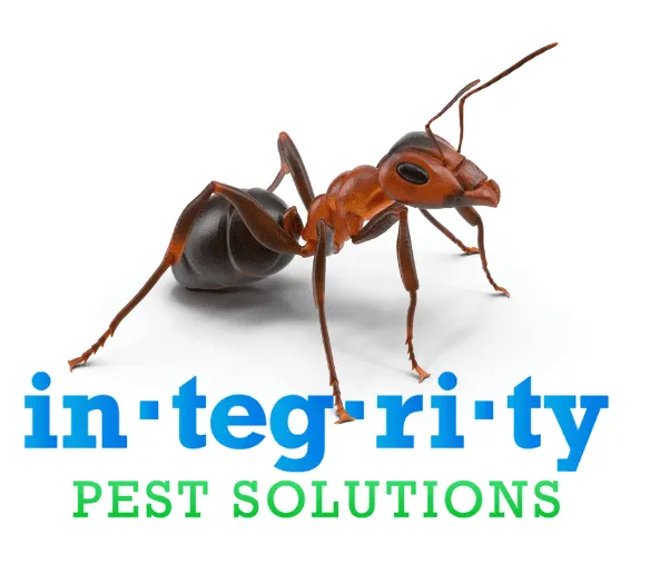 Integrity Pest Solutions Picture 2
