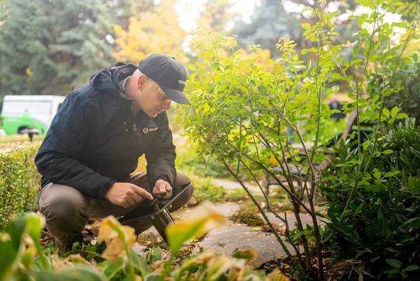 Greenix Pest Control Picture 1