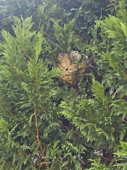 Greenix Pest Control Picture 10