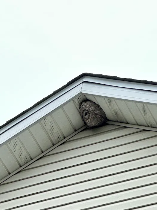 Greenix Pest Control Picture 2