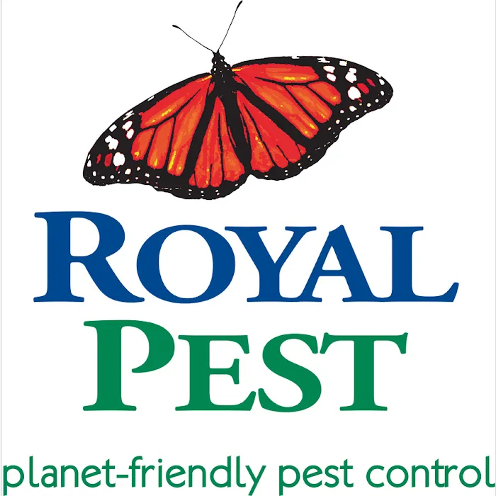 Royal Pest Solutions Picture 2