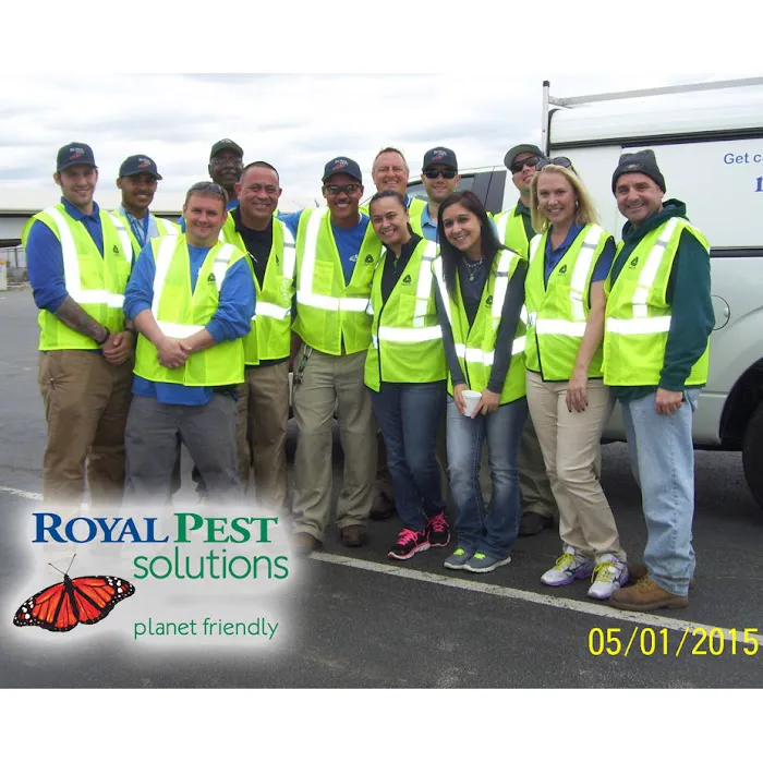 Royal Pest Solutions Picture 1