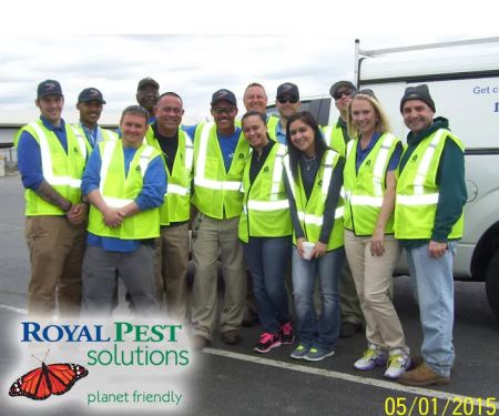 Royal Pest Solutions