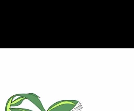 Koch's Spraying Service Inc.