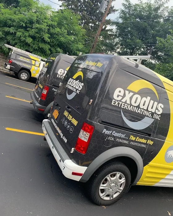 Exodus Exterminating Inc. Picture 10