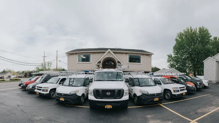 Town & Country Pest Solutions inc Picture 6
