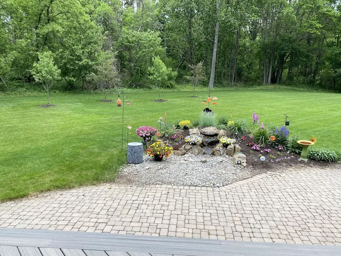 Town & Country Pest Solutions inc Picture 4