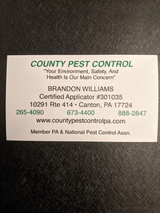 County Pest Control Picture 4