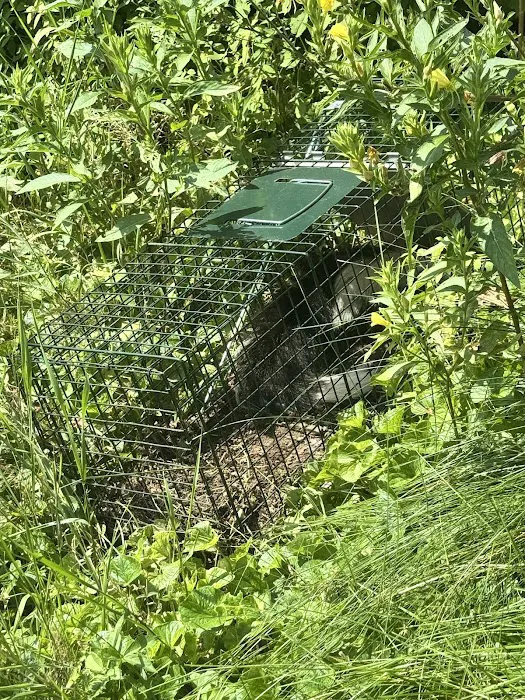 Uplands Wildlife Services Picture 9