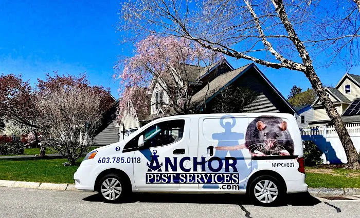 Anchor Pest Services Picture 7