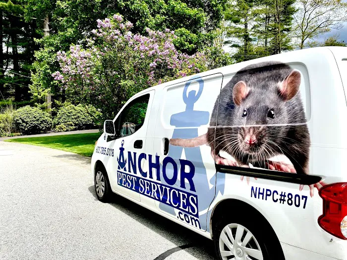 Anchor Pest Services Picture 4