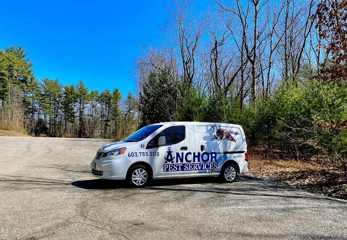 Anchor Pest Services Picture 1