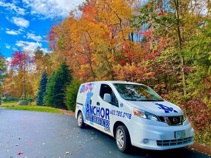 Anchor Pest Services Picture 2