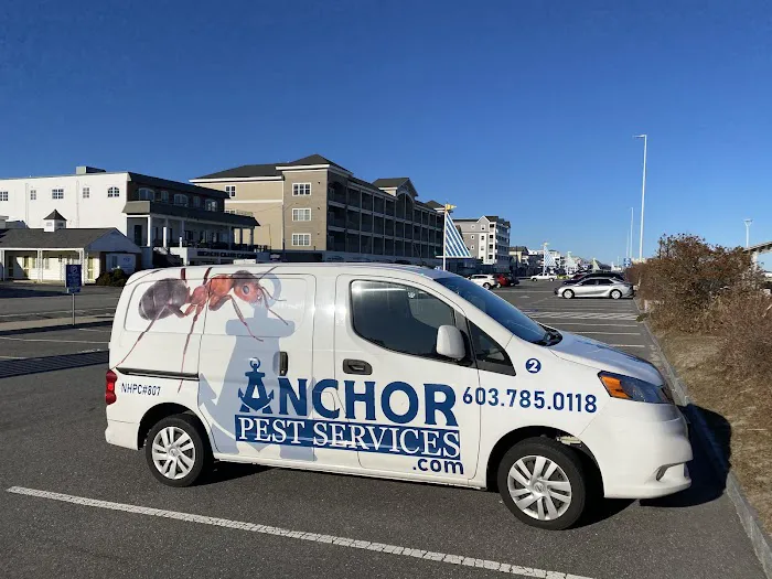 Anchor Pest Services Picture 3