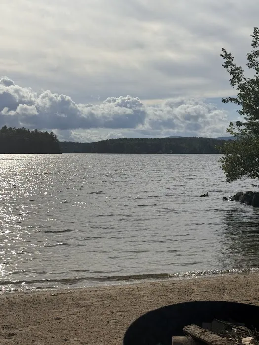 Mosquito Squad of New Hampshire Lakes Region Picture 5