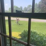Mosquito Squad of New Hampshire Lakes Region