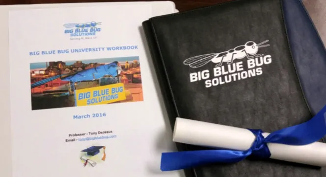 Big Blue Bug Solutions Picture 1