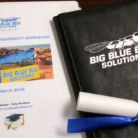 Big Blue Bug Solutions ico