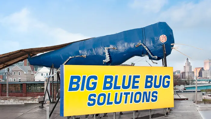 Big Blue Bug Solutions Picture 10