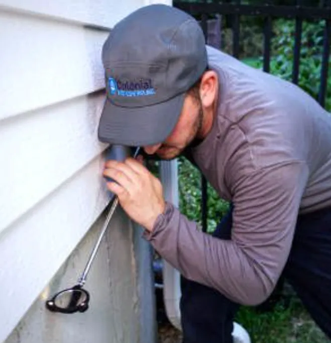 Colonial Pest Control Inc. Picture 1