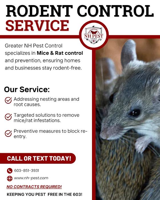 Greater NH Pest Control Picture 10