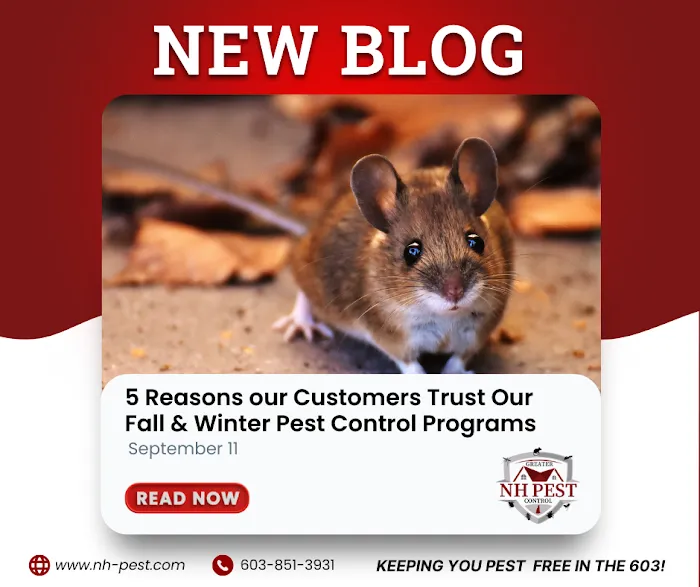 Greater NH Pest Control Picture 1