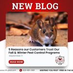 Greater NH Pest Control