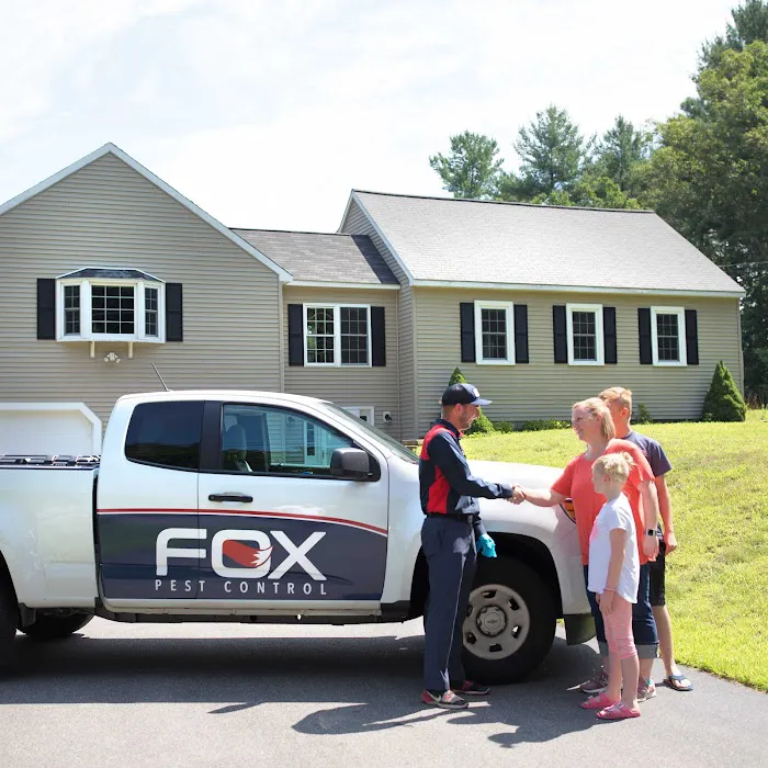 Fox Pest Control Manchester Picture 5
