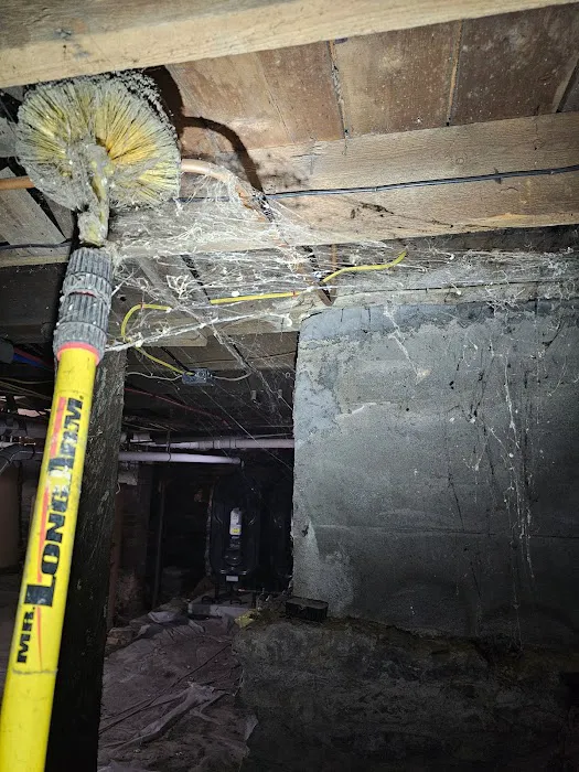 Above & Beeyond Pest Control LLC Picture 1