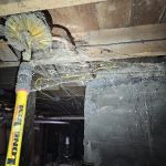 Above & Beeyond Pest Control LLC