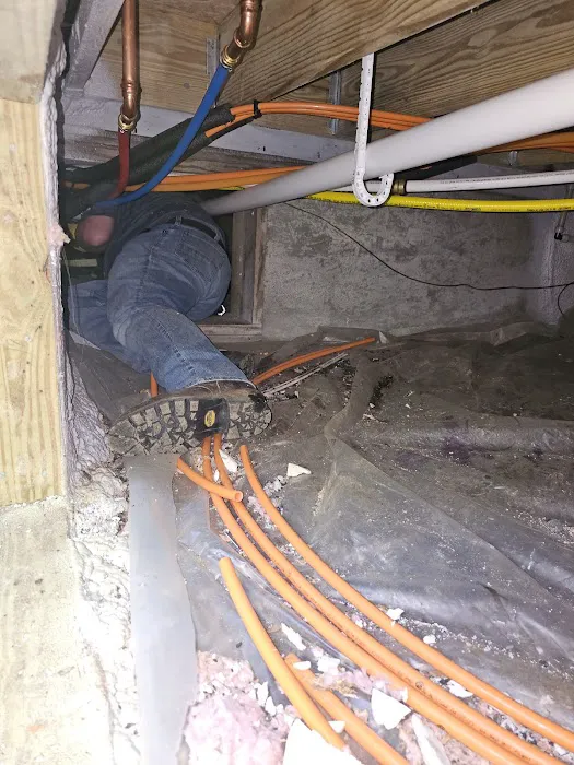 Above & Beeyond Pest Control LLC Picture 6