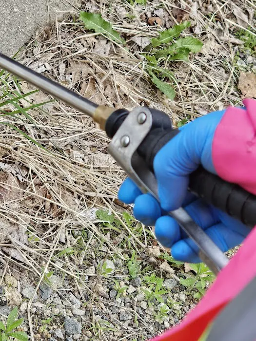 Above & Beeyond Pest Control LLC Picture 7