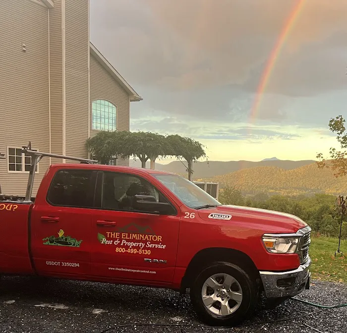 The Eliminator Pest & Property Service Picture 1
