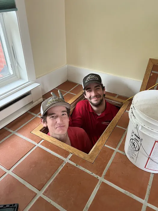 The Eliminator Pest & Property Service Picture 2