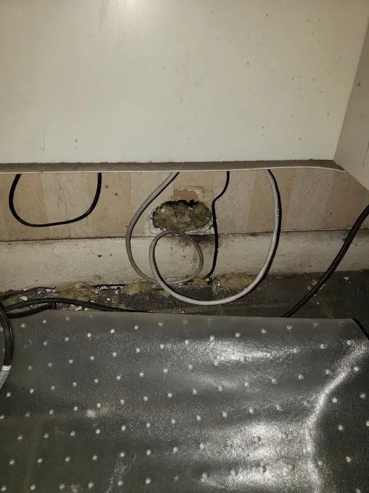 AG Pest Services Picture 5
