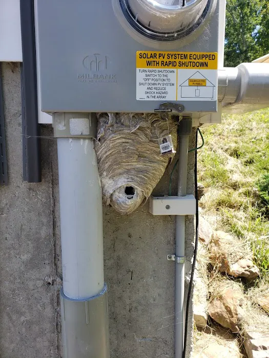 AG Pest Services Picture 4