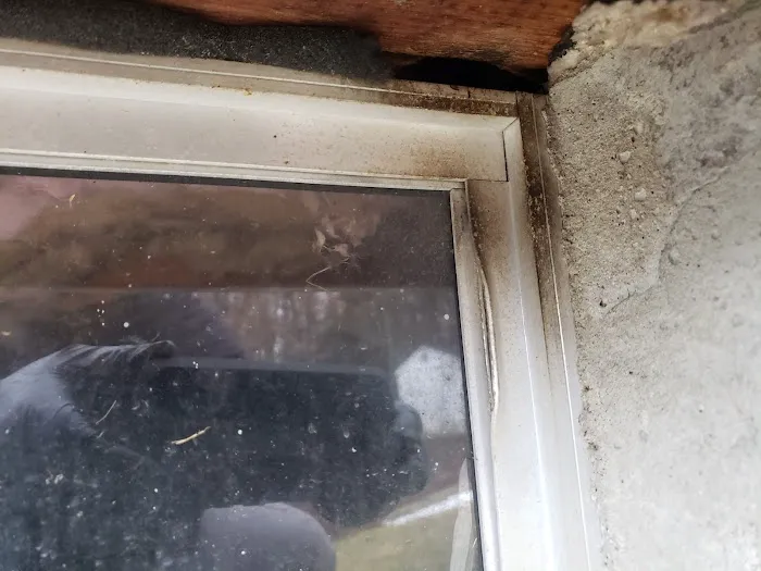 AG Pest Services Picture 2